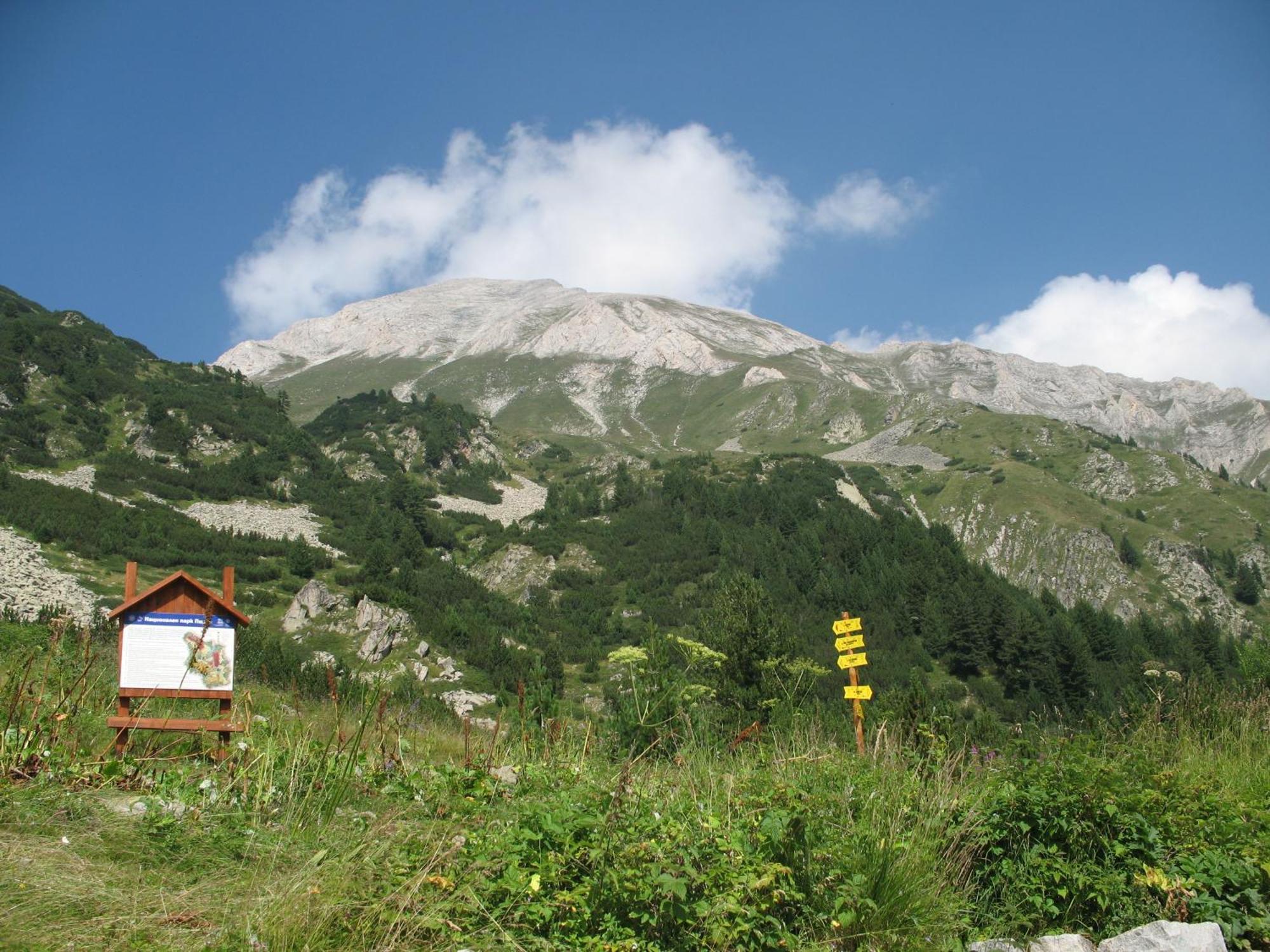 Hotel Dumanov Bansko Dış mekan fotoğraf